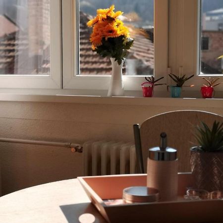 Apartment Skendy サラエヴォ エクステリア 写真