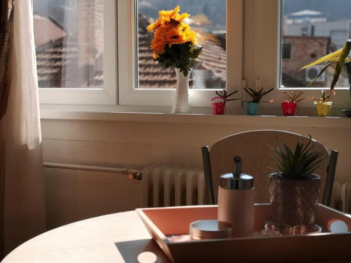 Apartment Skendy サラエヴォ エクステリア 写真